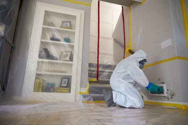 mold remediation charleston sc