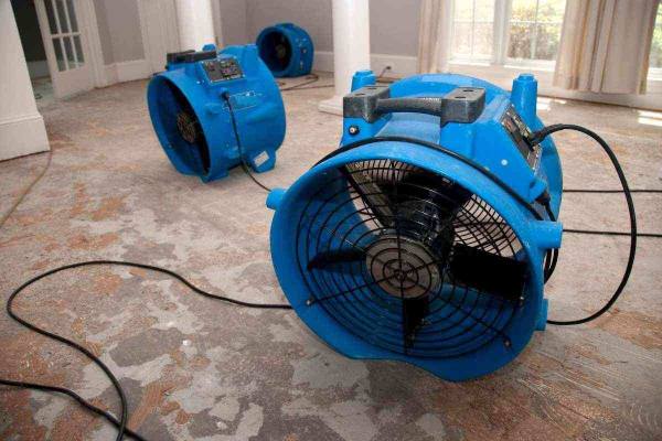 water removal services